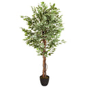 Kunstige plante FICUS med grøn-hvide panacherede blade i en sort potte fra hjh OFFICE