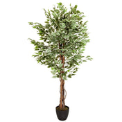 Kunstige plante FICUS med grøn-hvide panacherede blade i en sort potte fra hjh OFFICE
