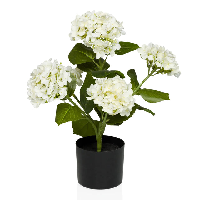 Kunstige plante HYDRANGEA med hvide blomster, grønne blade og sort potte fra hjh OFFICE