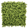 LEAFLUXE 3 - Pflanzenmatte - buerostuhl24