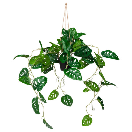 Grøn Kunstige plante MONSTERA CLIMB som hængeplante med perforerede blade fra hjh OFFICE