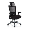 High End kontorstol NOVA PRO I i sort med netryglæn, nakkestøtte og blankt fodkryds fra hjh OFFICE