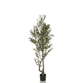 Grøn Kunstige plante OLIVE I med slank vækst i en sort plantepotte fra hjh OFFICE