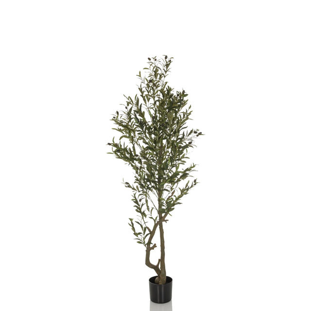 Grøn Kunstige plante OLIVE I med slank vækst i en sort plantepotte fra hjh OFFICE