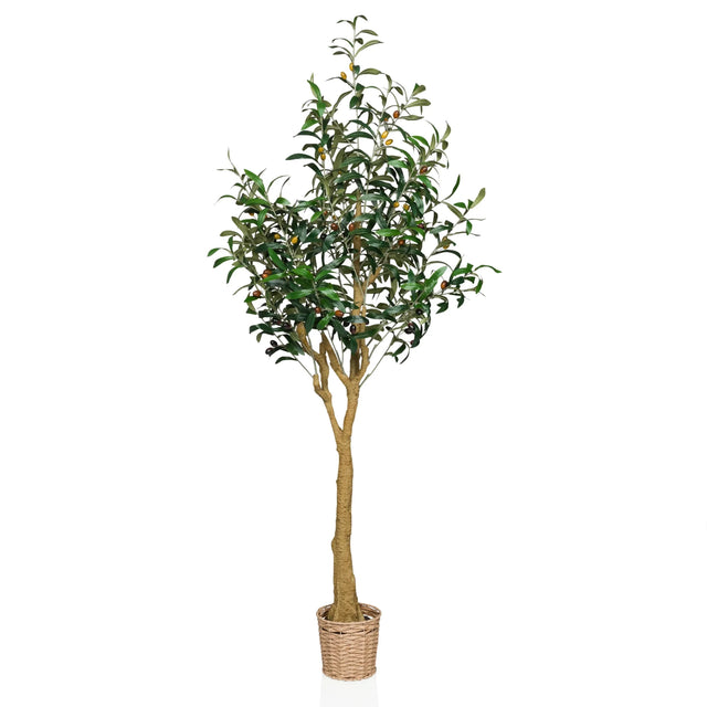 Kunstige plante OLIVE II i grøn med flettet kurvepotte og naturlig stamme fra hjh OFFICE