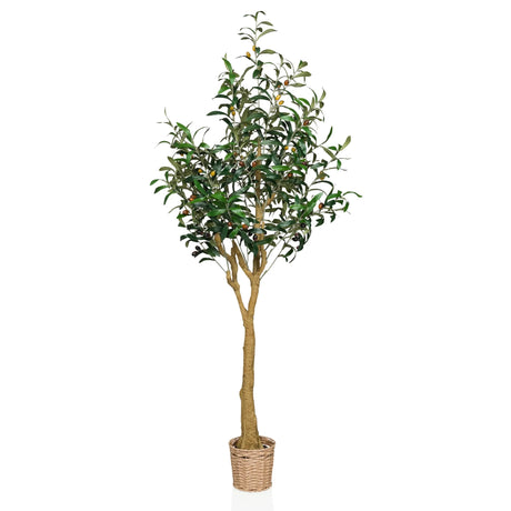 Kunstige plante OLIVE II i grøn med flettet kurvepotte og naturlig stamme fra hjh OFFICE