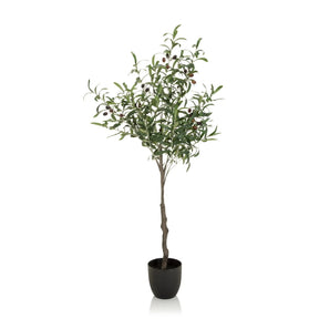 Grøn Kunstige plante OLIVE formet som et oliventræ med sort krukke fra hjh OFFICE