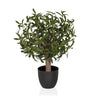 Kunstige plante Olive S med grønne blade i en enkel sort potte fra hjh OFFICE