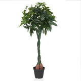 PACHIRA - Kunstige plante 
