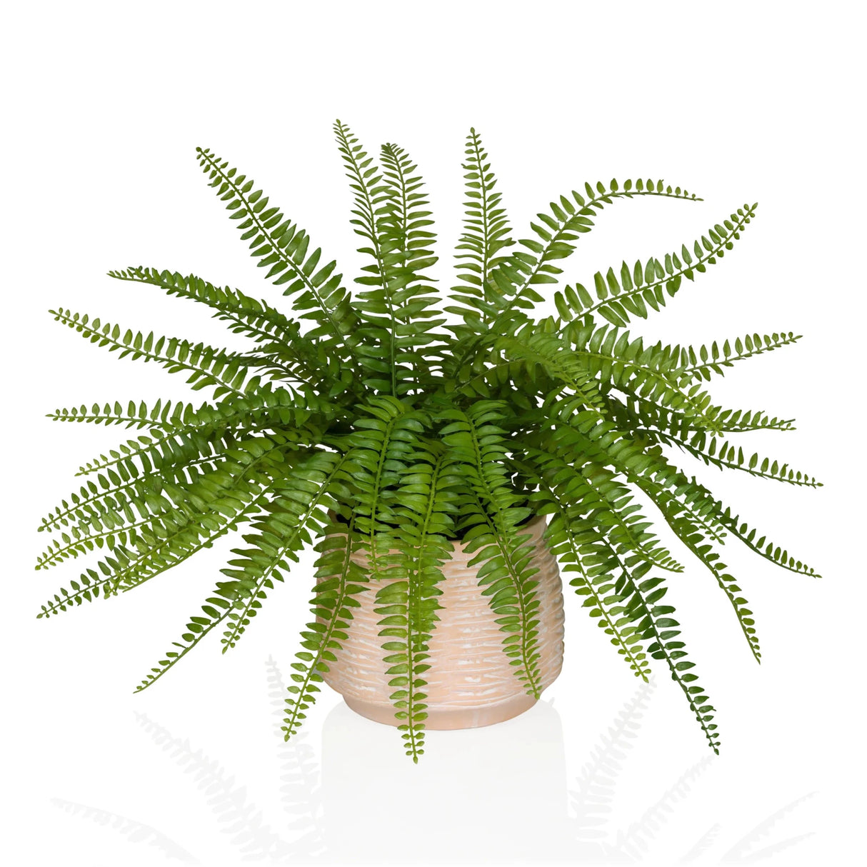 Proliferum - Kunstige plante 
