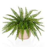 Proliferum - Kunstige plante 