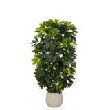 Schefflera 2 - Kunstige plante 