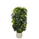 Kunstige plante Schefflera 2 i grøn med tætte blade i en enkel beige potte fra hjh OFFICE