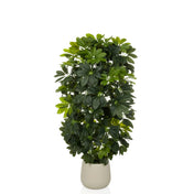Kunstige plante Schefflera 2 i grøn med tætte blade i en enkel beige potte fra hjh OFFICE
