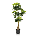 Grøn Kunstige plante SCHEFFLERA med blanke blade i en sort potte fra hjh OFFICE