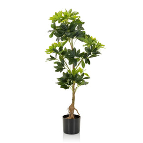 Grøn Kunstige plante SCHEFFLERA med blanke blade i en sort potte fra hjh OFFICE