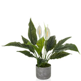 Spathiphyllum 1 - Kunstige plante 