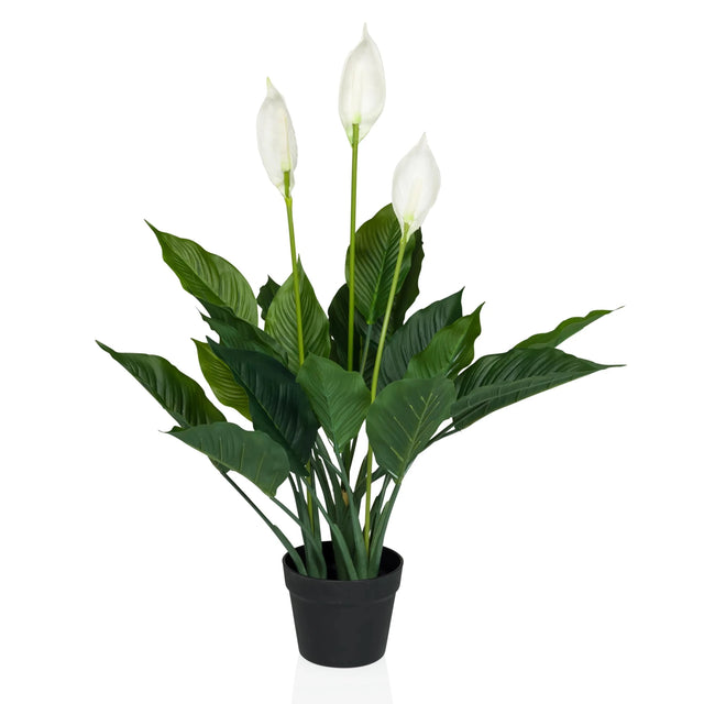 Kunstige plante SPATHIPHYLLUM i grøn og hvid med tre blomster i en sort potte fra hjh OFFICE