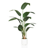 STRELITZIA - Kunstige plante 