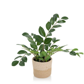 Kunstige plante ZAMIE i grøn farve med en flettet overpotte af naturmateriale fra hjh OFFICE