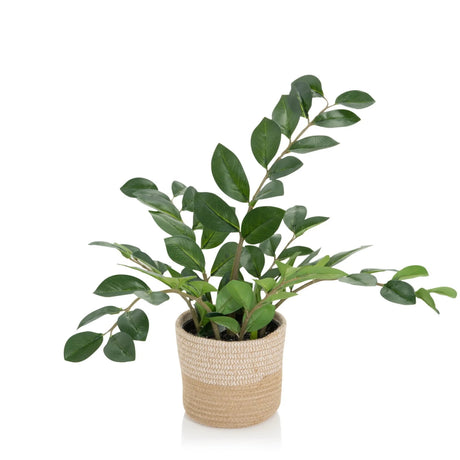 Kunstige plante ZAMIE i grøn farve med en flettet overpotte af naturmateriale fra hjh OFFICE